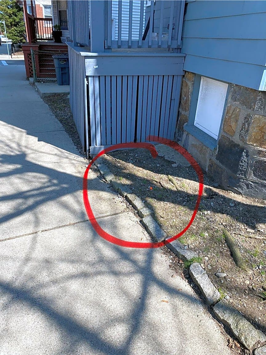 Image submitted with report