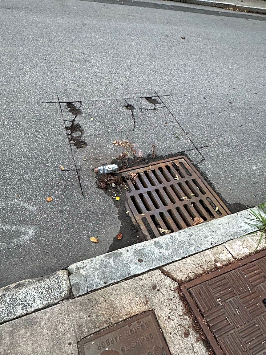 Image submitted with report
