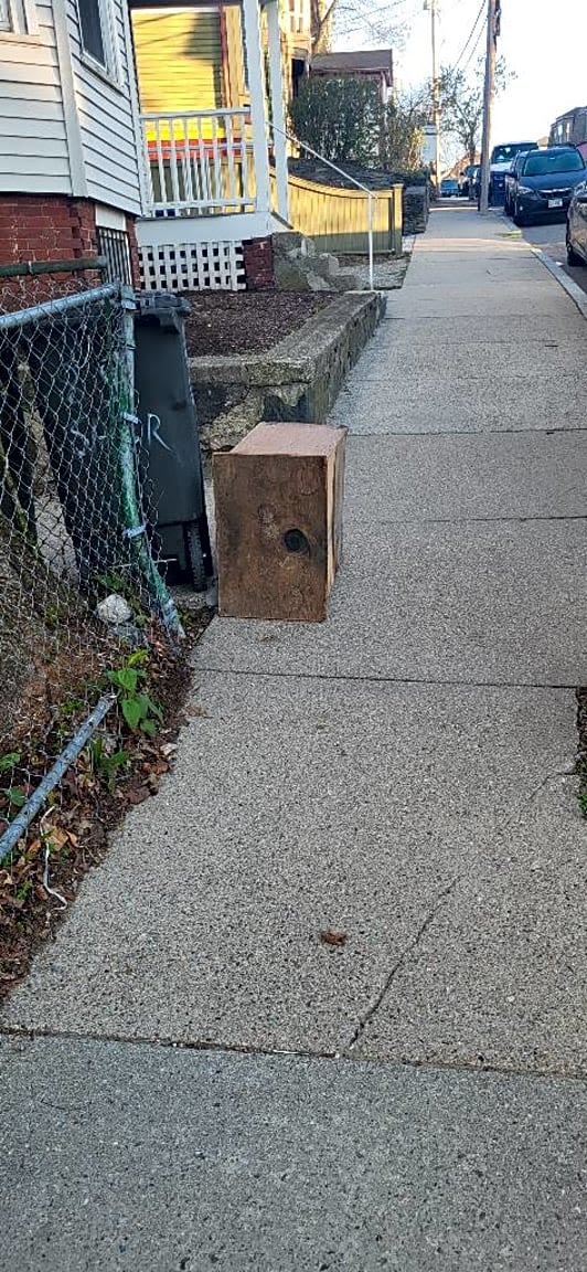 Image submitted with report