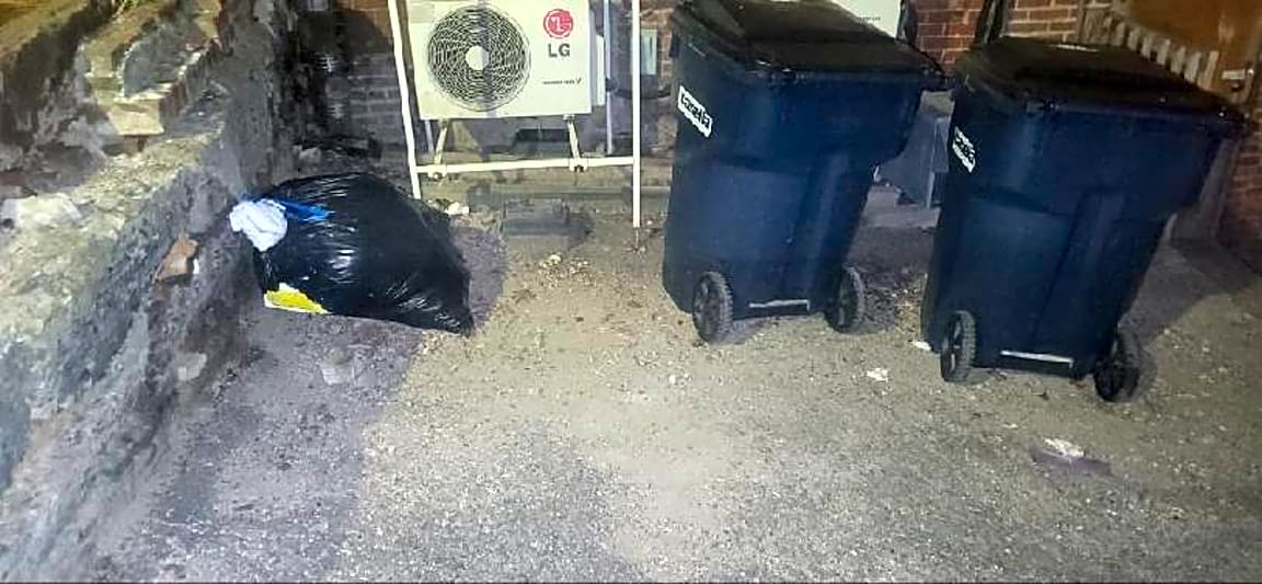 Image submitted with report