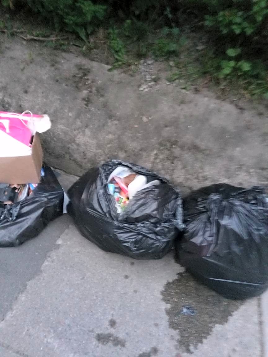 Image submitted with report