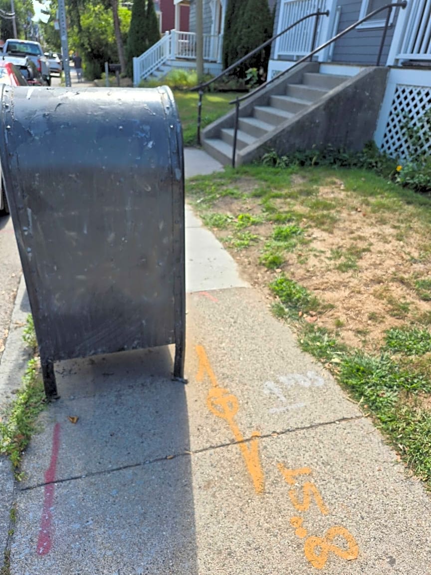Image submitted with report