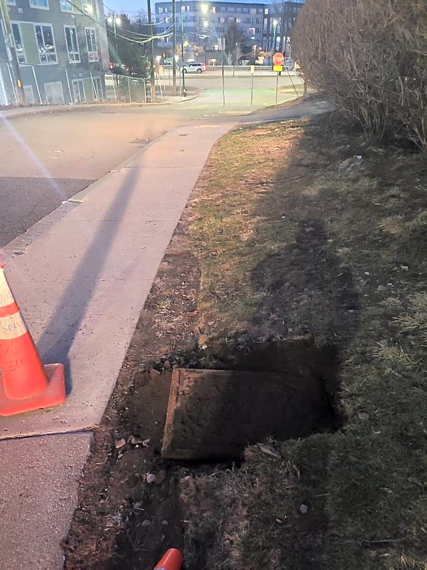 Image submitted with report