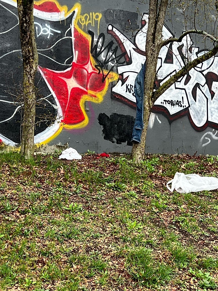 Image submitted with report