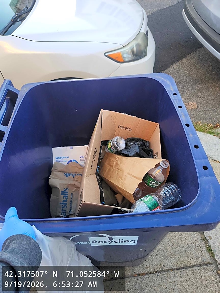 Image submitted with report