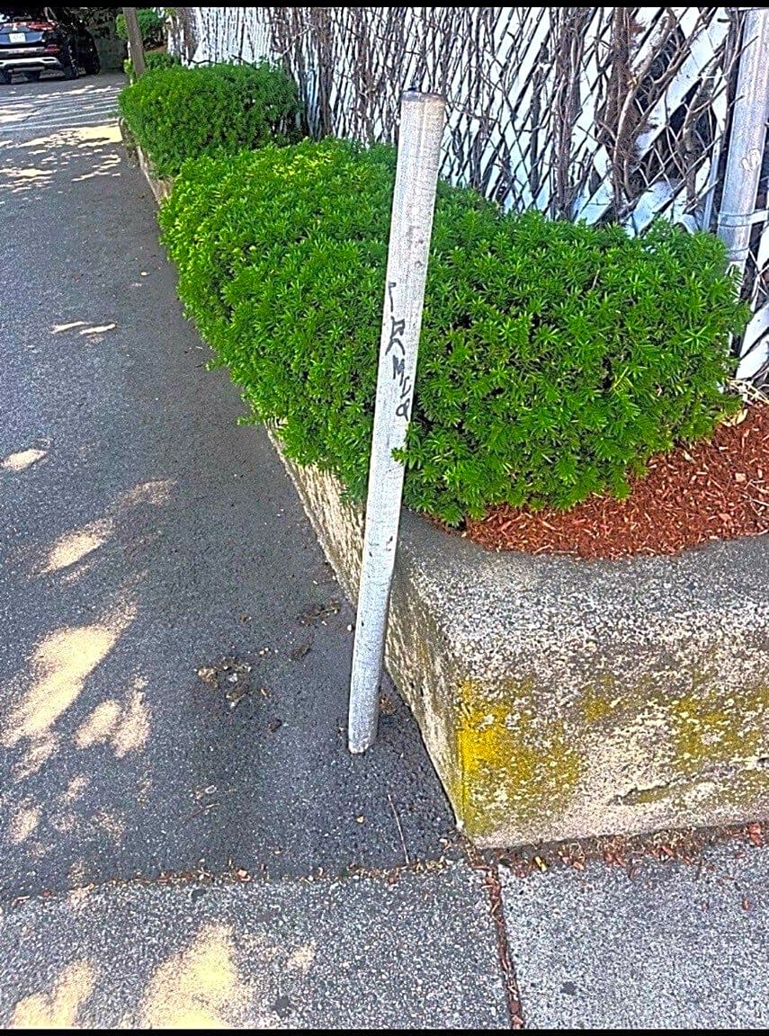 Image submitted with report