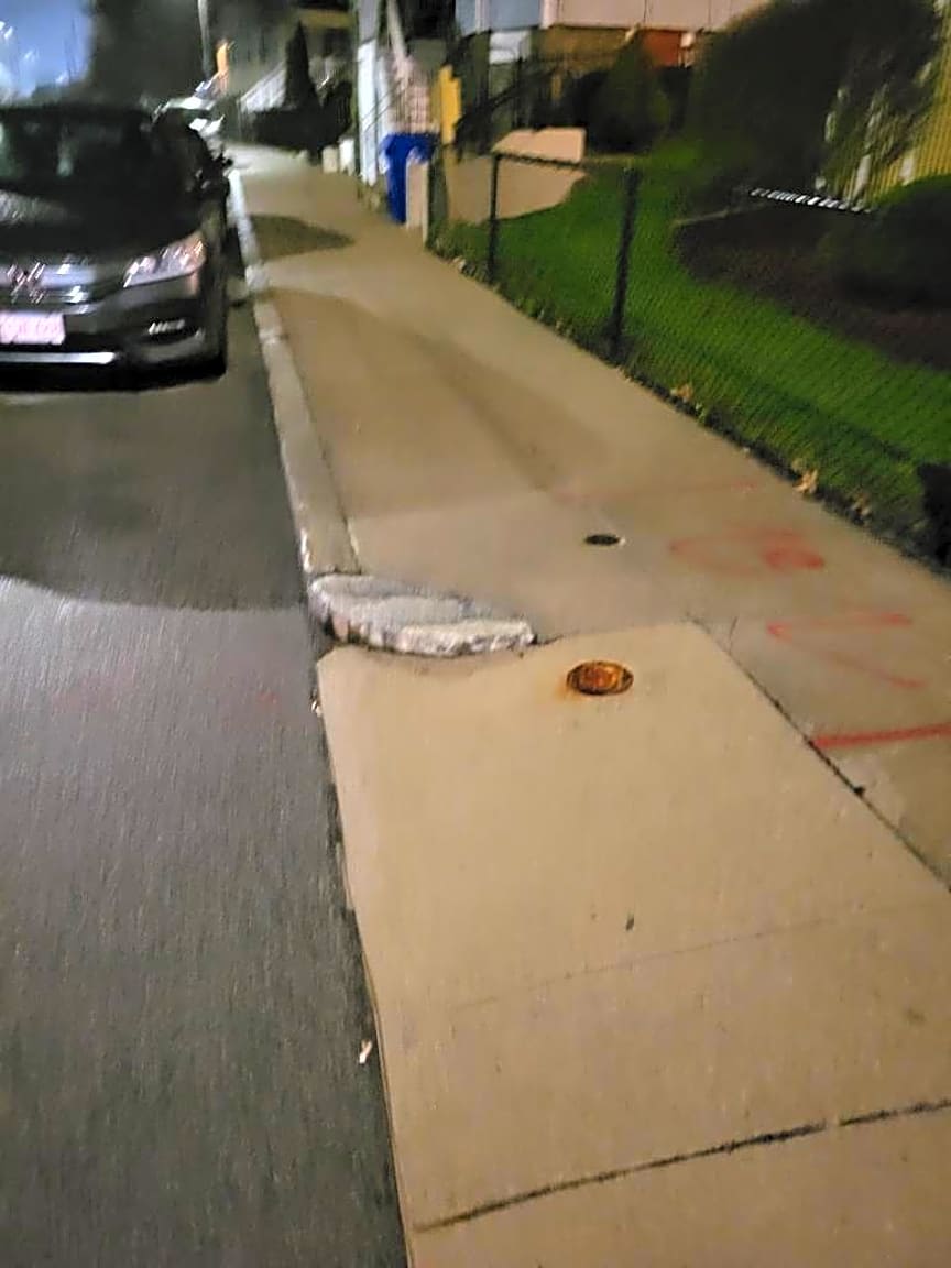 Image submitted with report