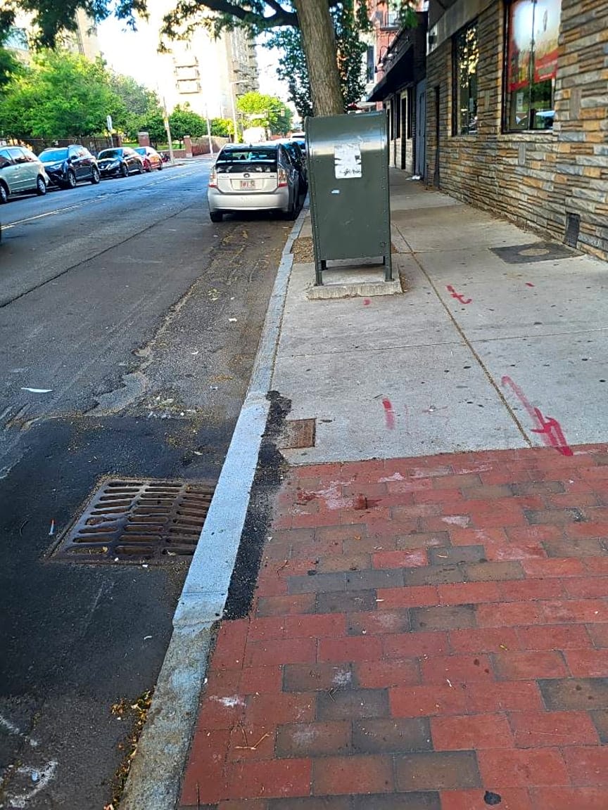 Image submitted with report
