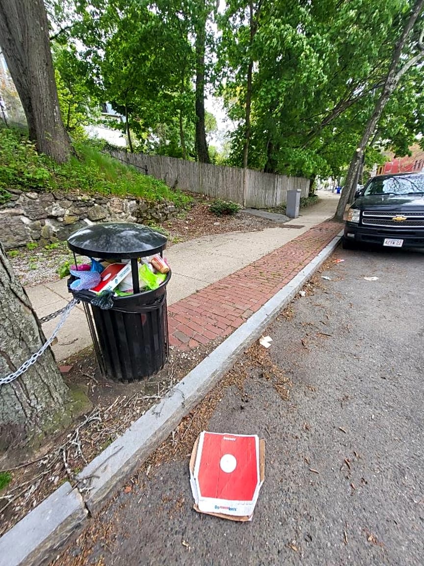 Image submitted with report