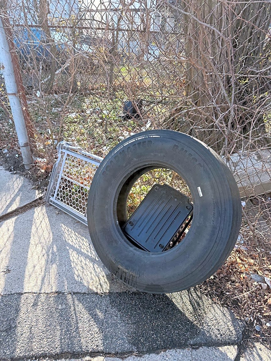 Image submitted with report