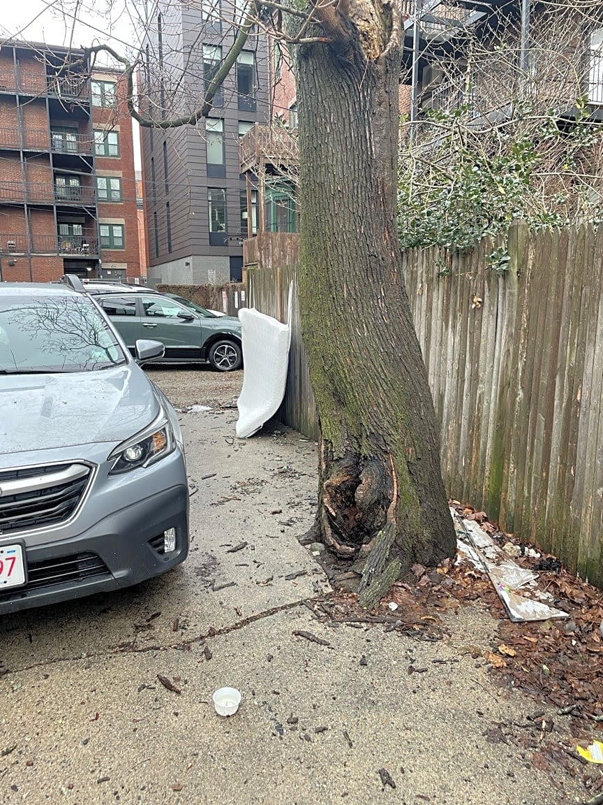 Image submitted with report