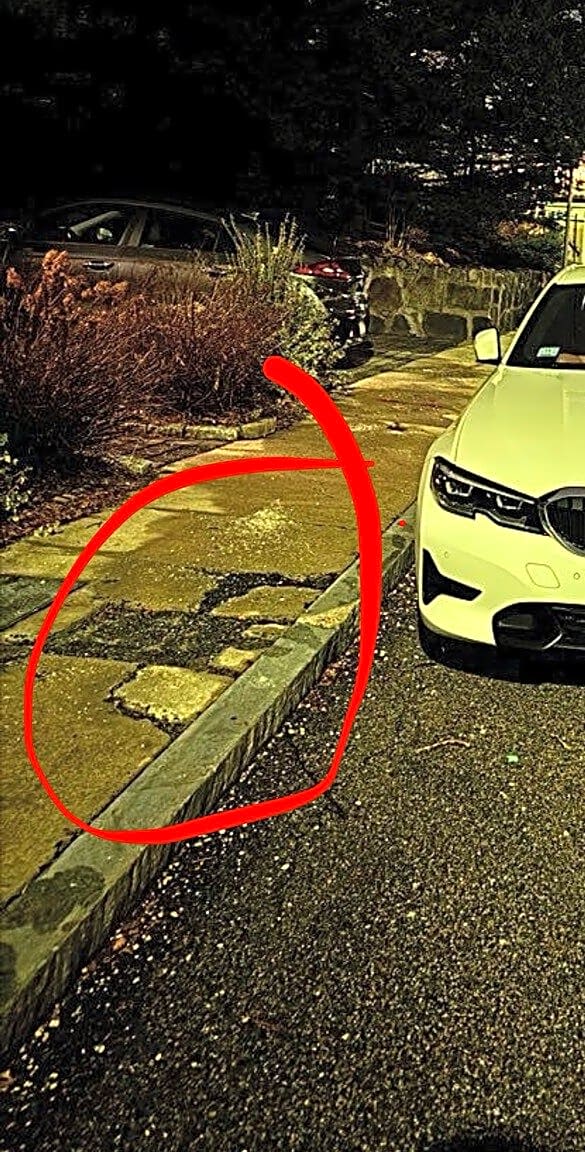 Image submitted with report