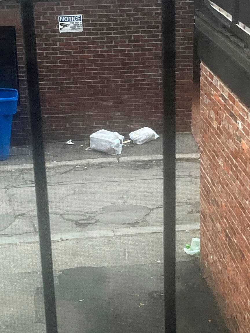 Image submitted with report