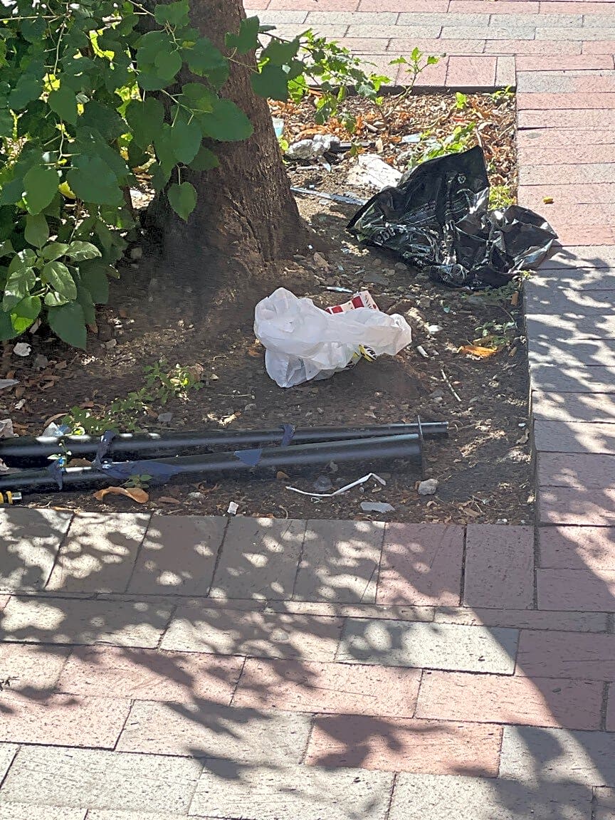 Image submitted with report