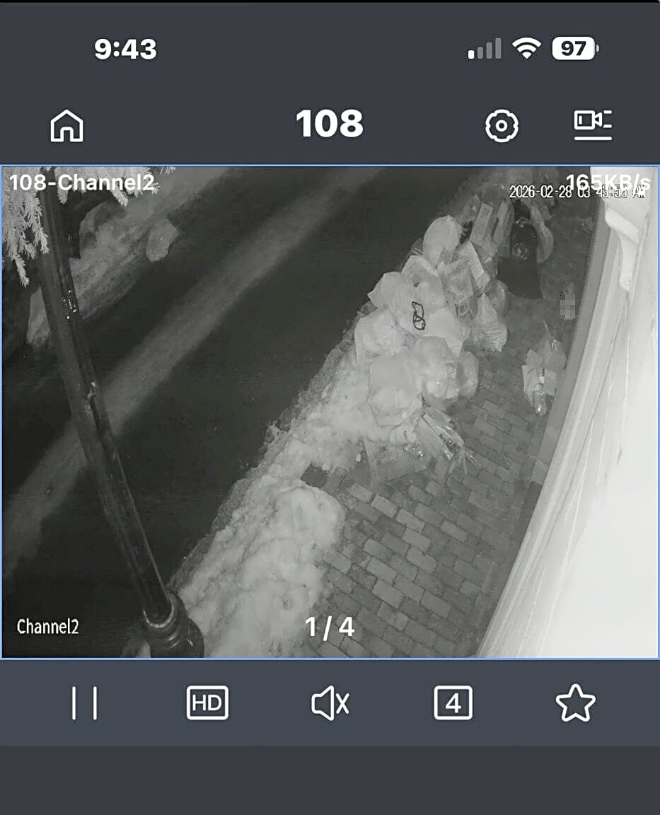 Image submitted with report