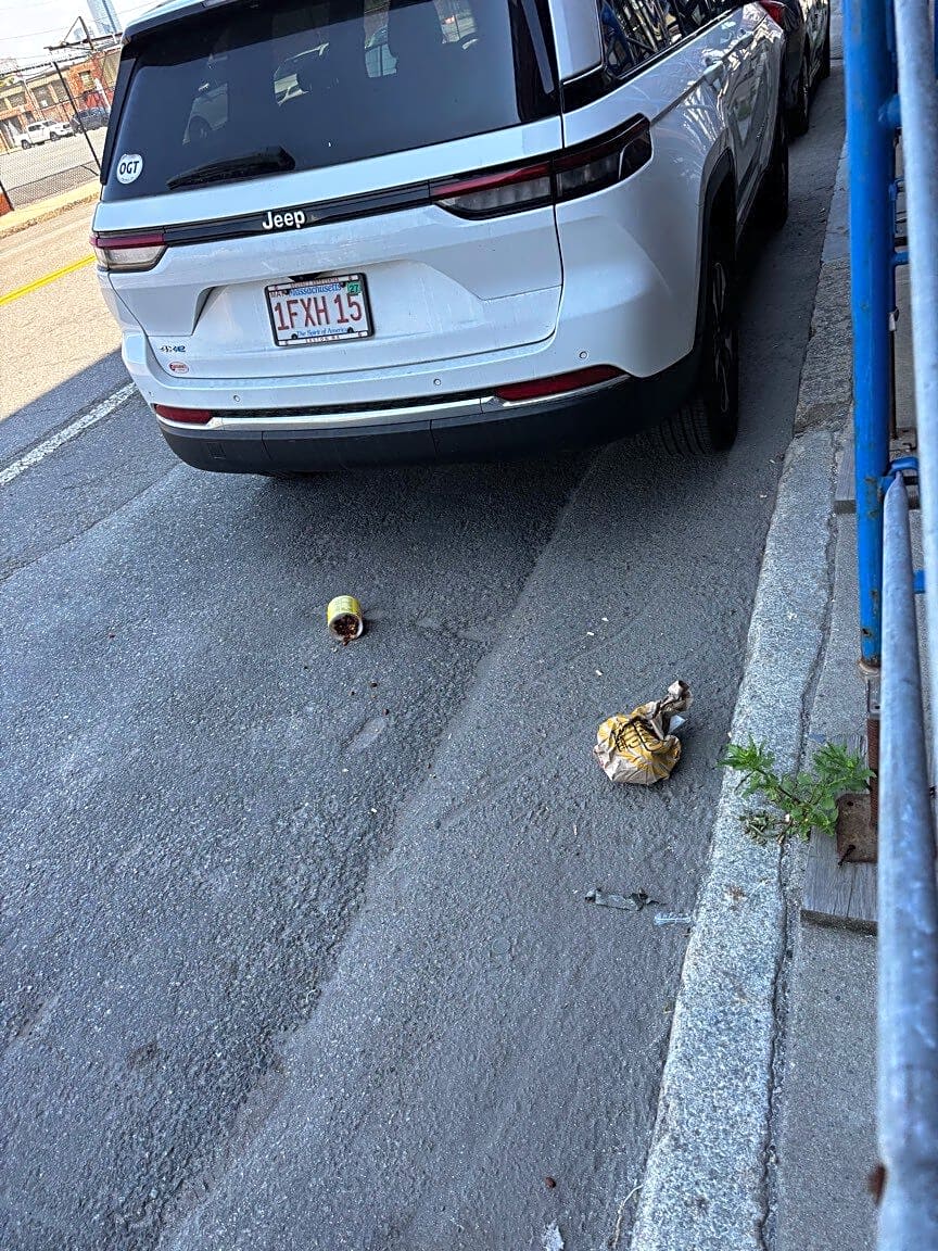 Image submitted with report
