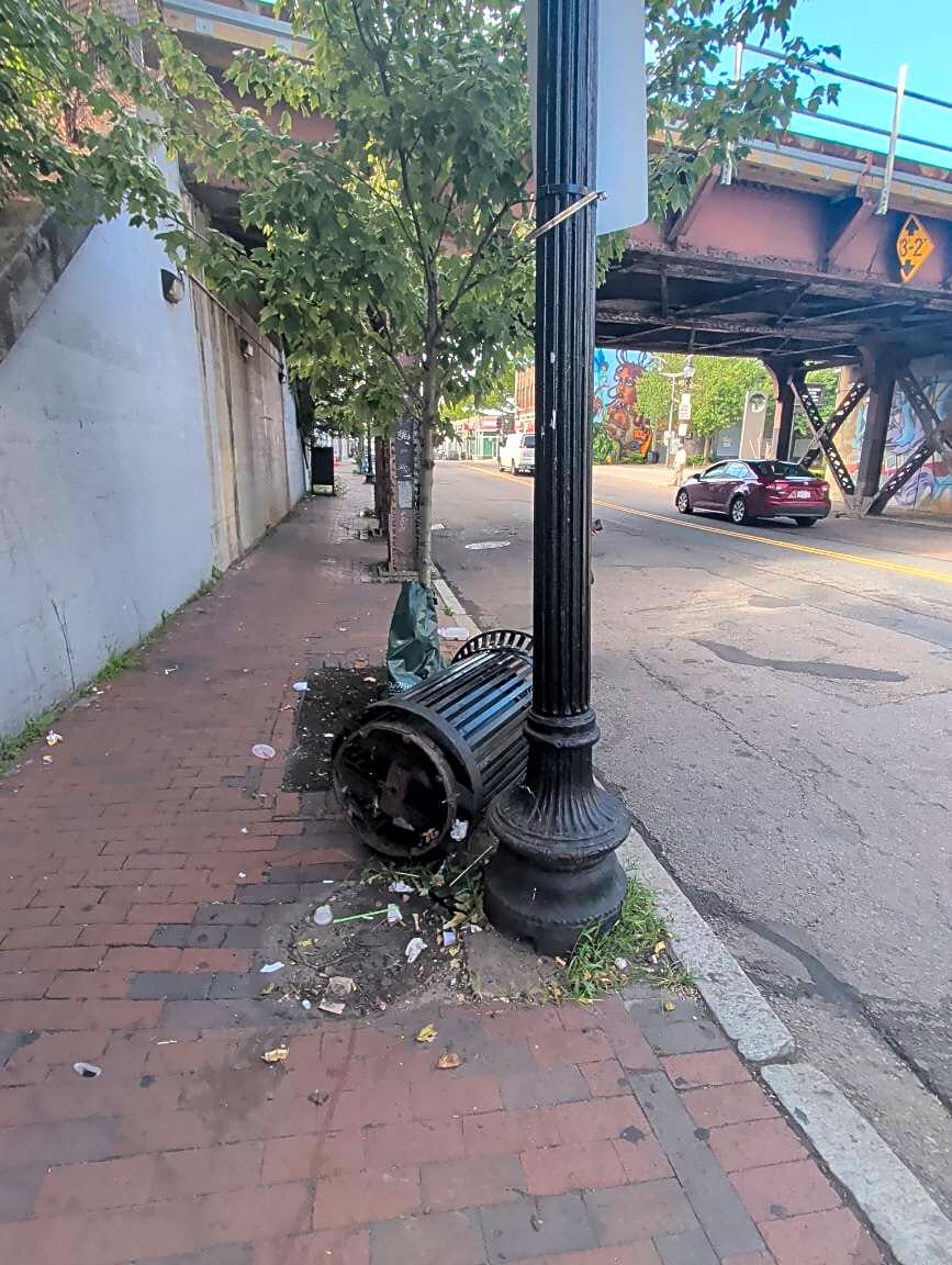 Image submitted with report