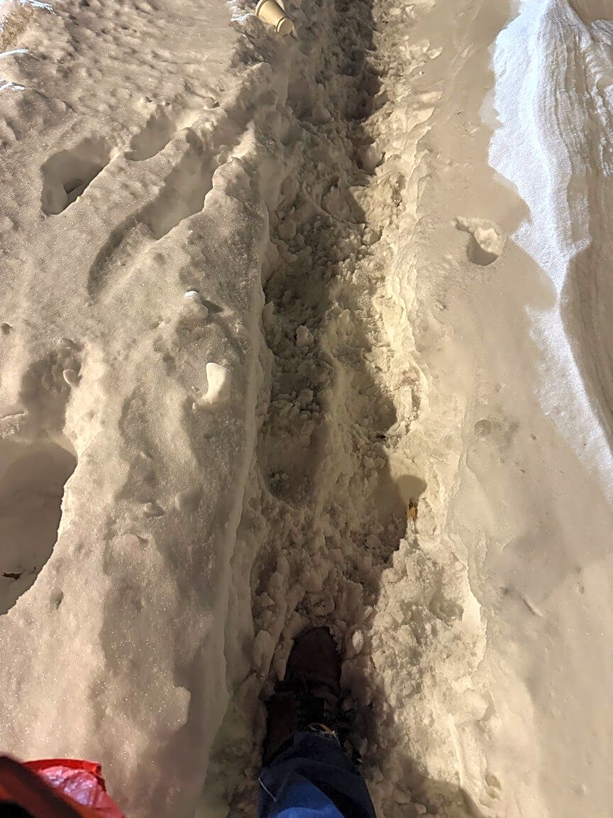 Image submitted with report