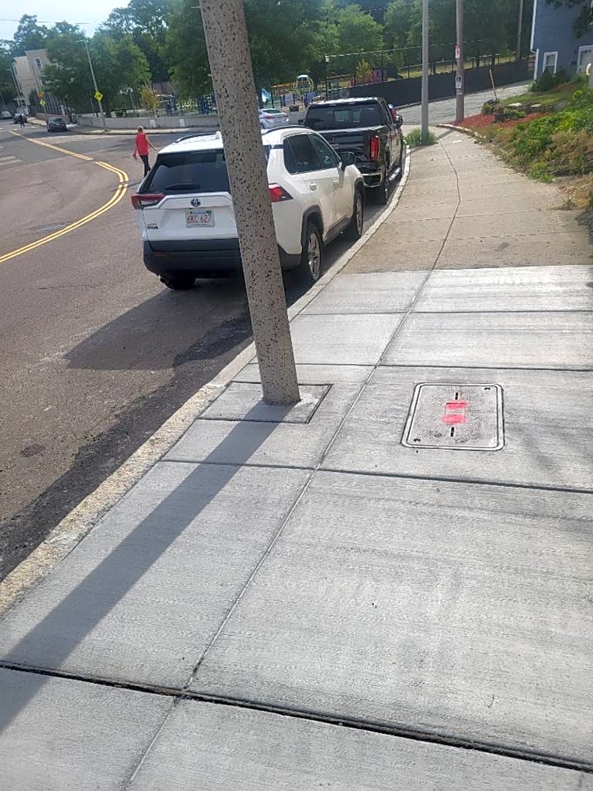 Image submitted with report