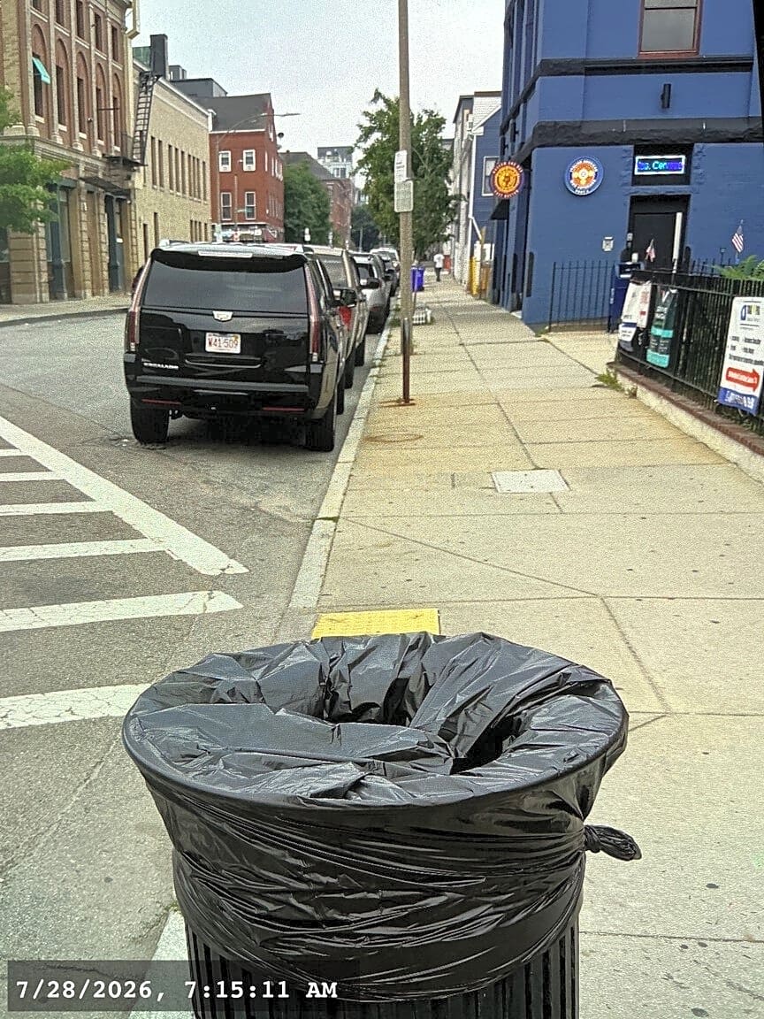 Image submitted with report