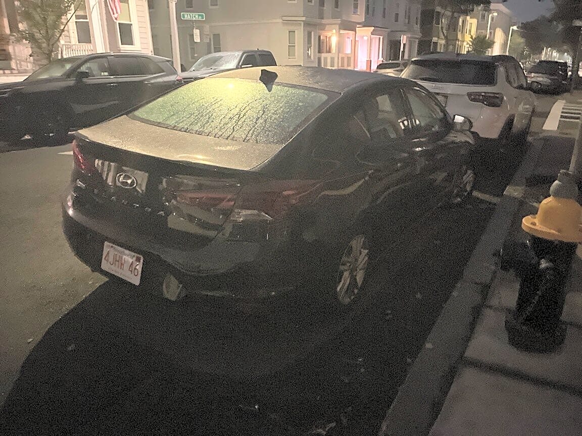 Image submitted with report