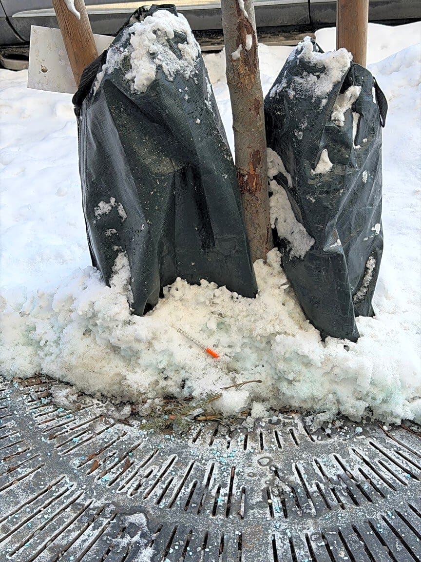 Image submitted with report