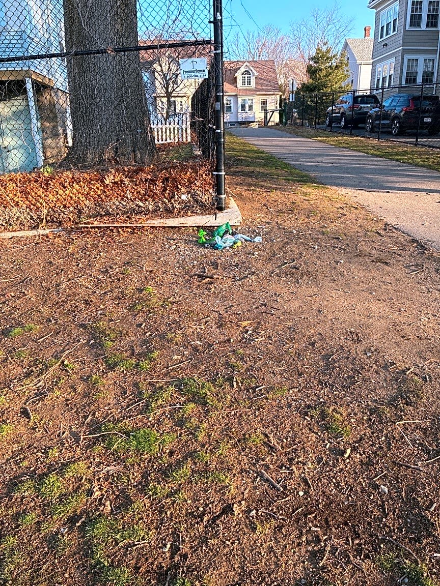 Image submitted with report