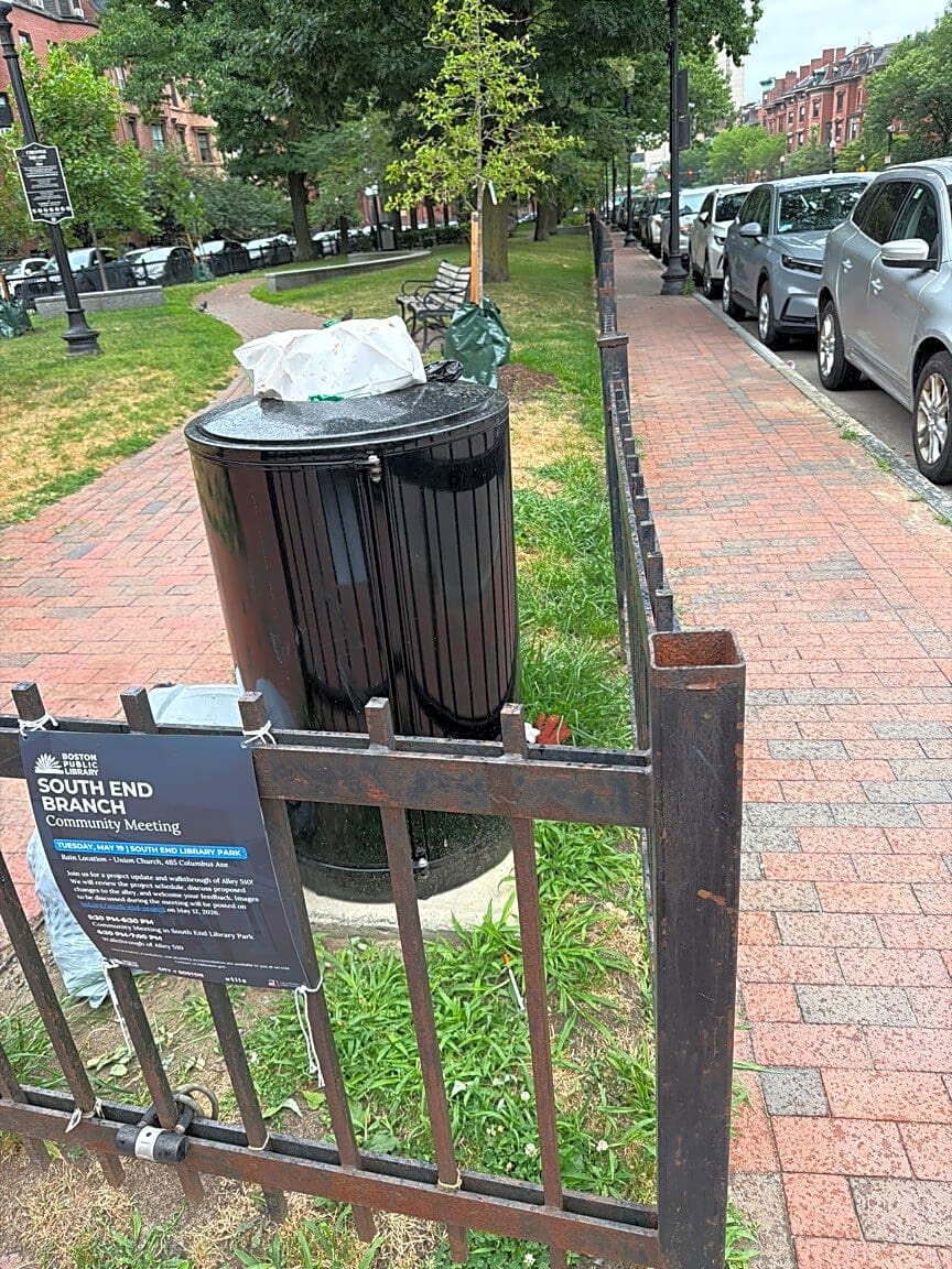 Image submitted with report
