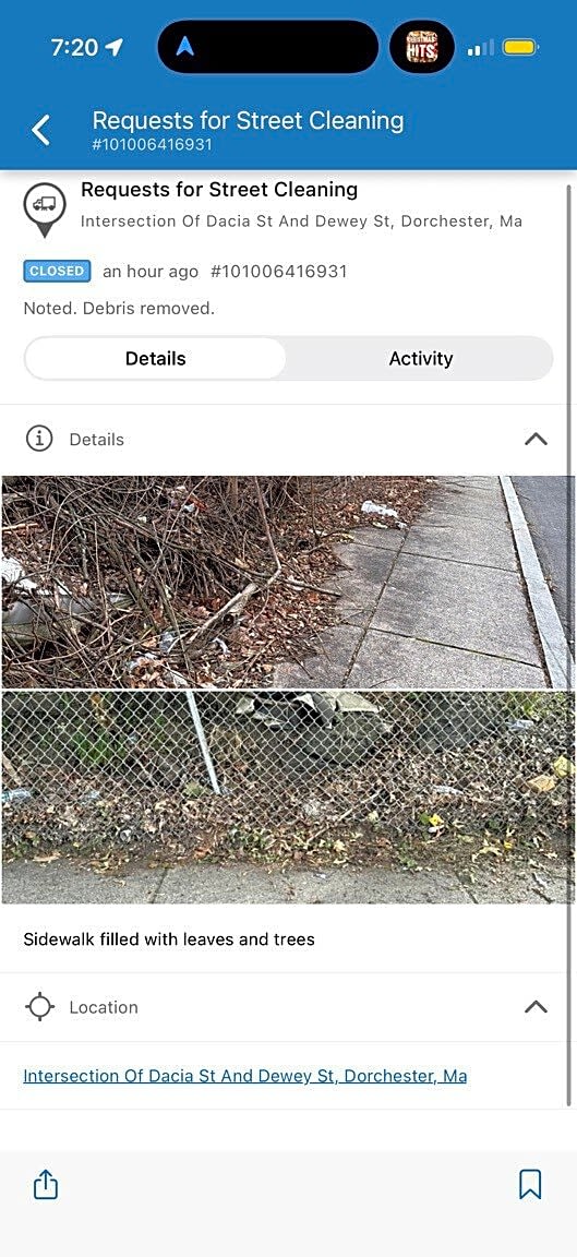 Image submitted with report