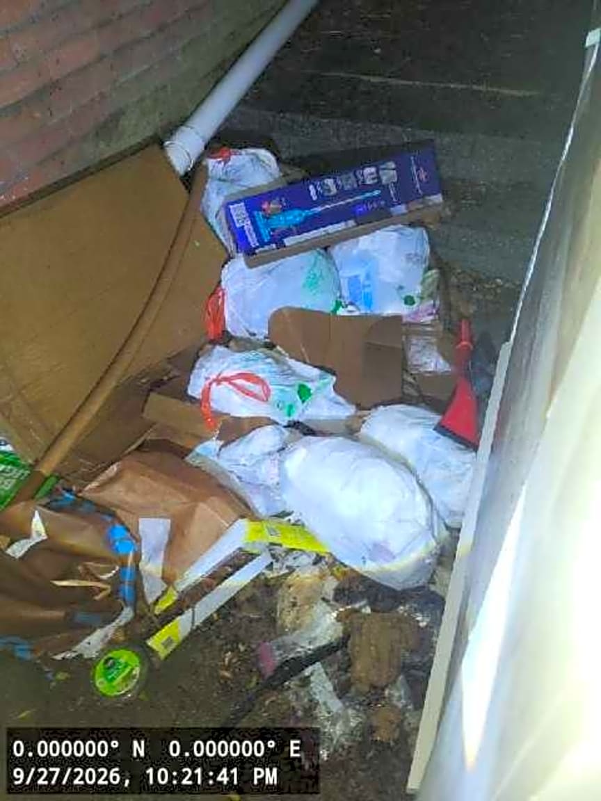 Image submitted with report