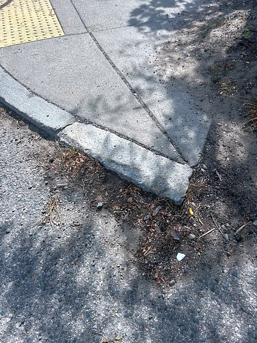 Image submitted with report