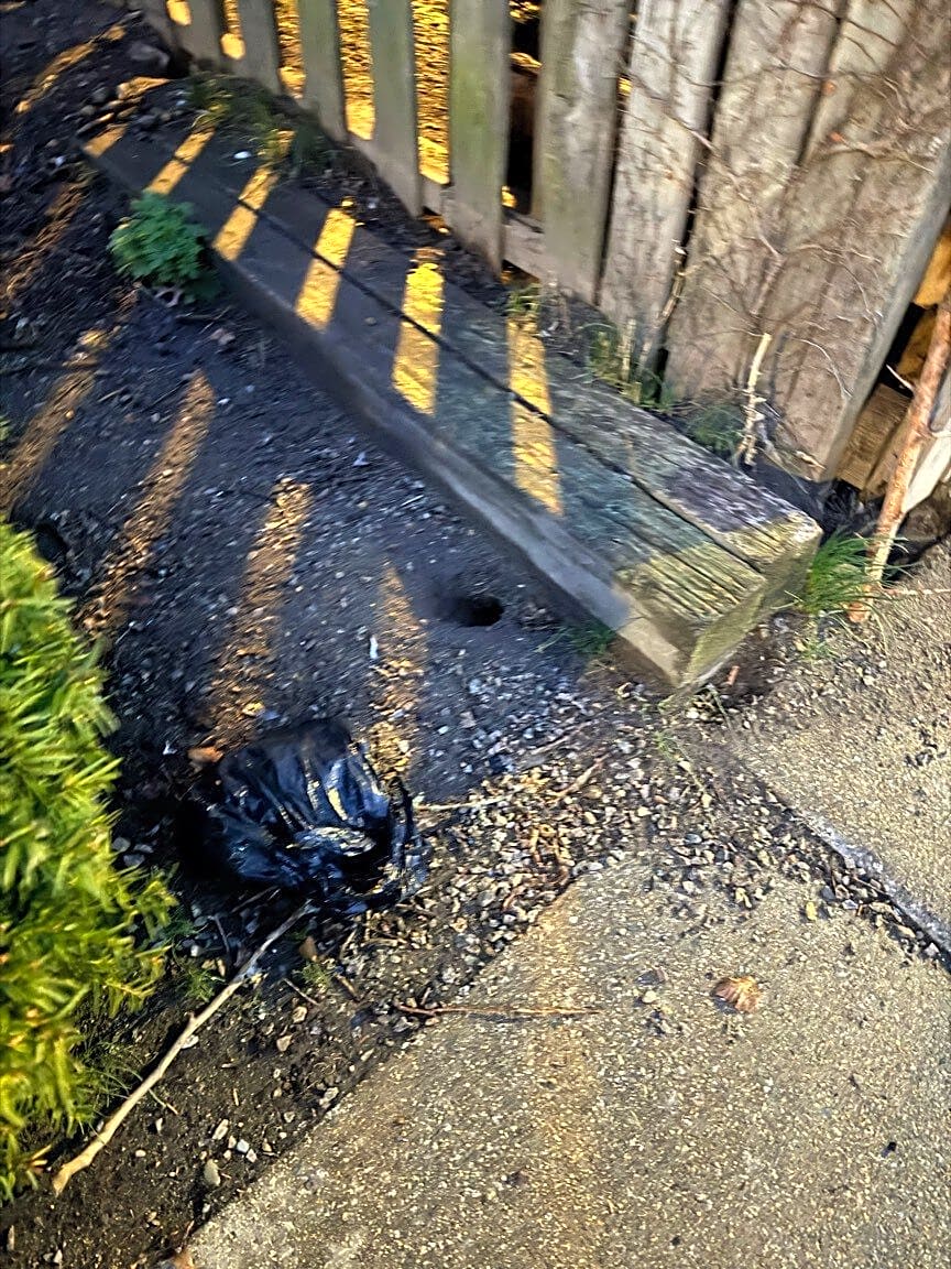 Image submitted with report