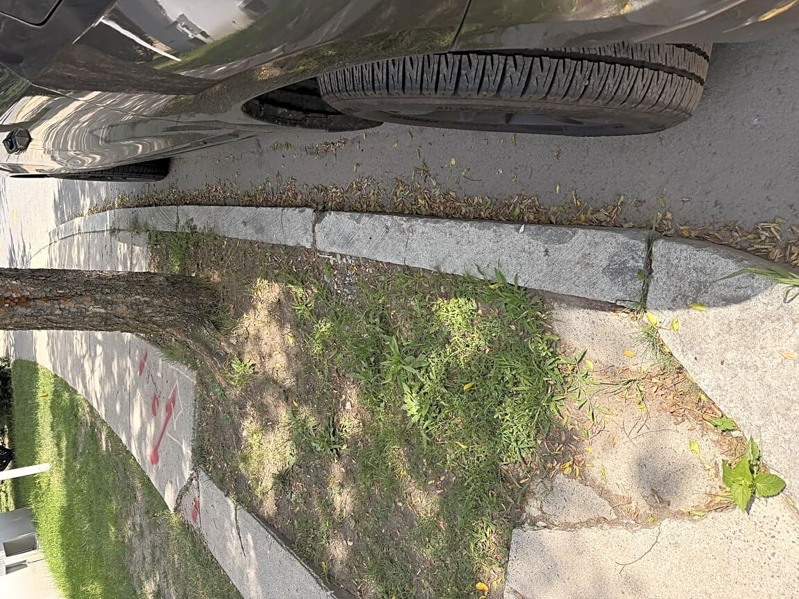 Image submitted with report