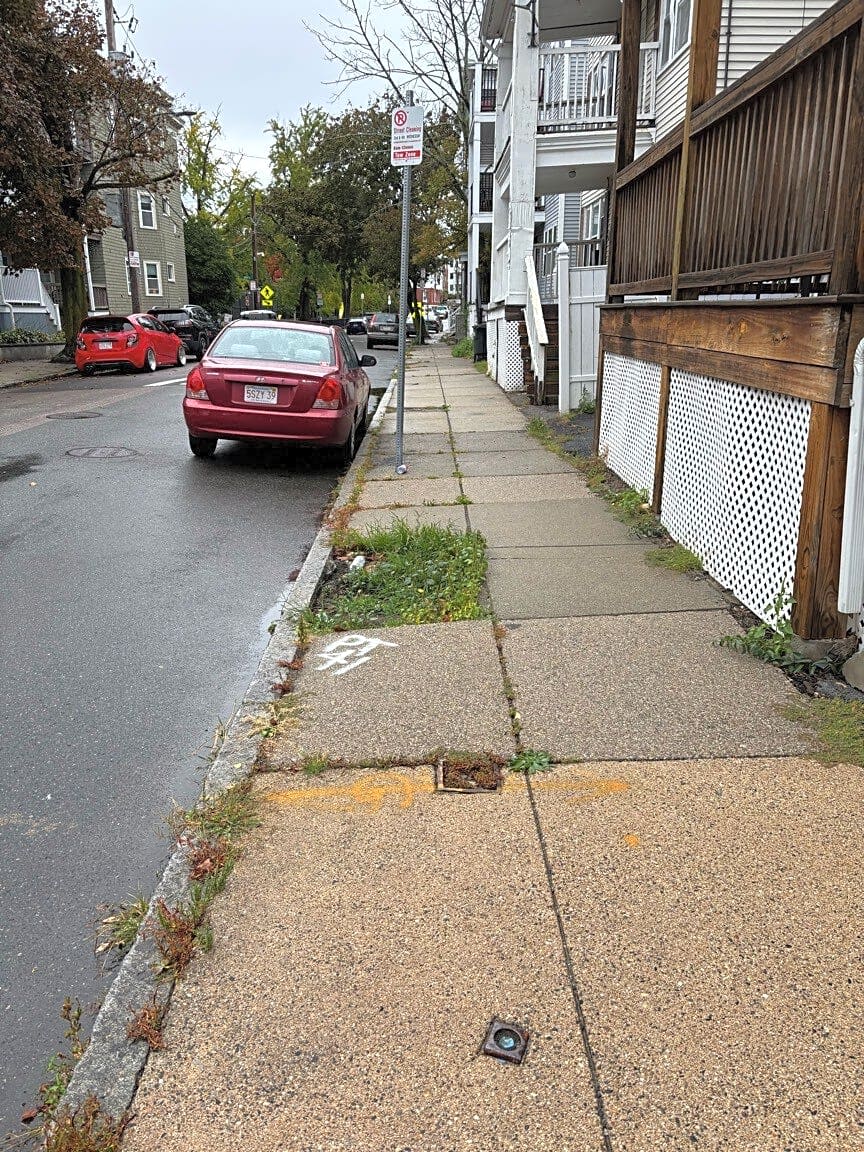 Image submitted with report