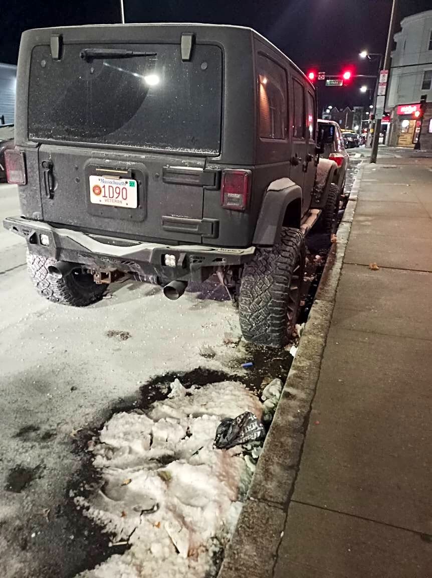 Image submitted with report