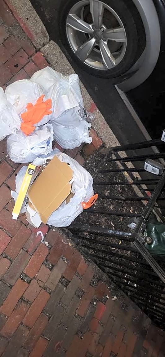 Image submitted with report