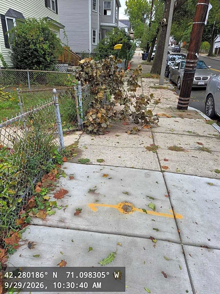 Image submitted with report