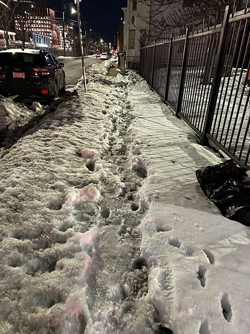 Image submitted with report