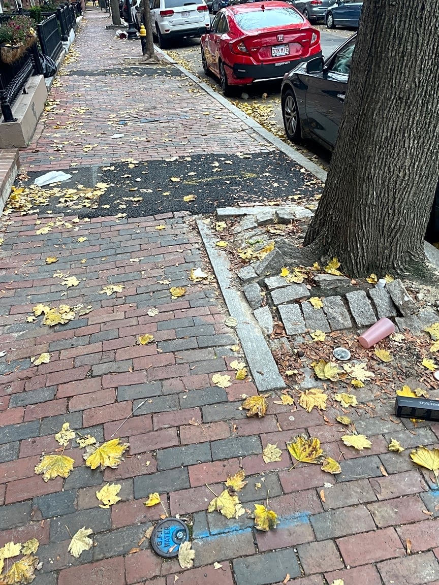 Image submitted with report