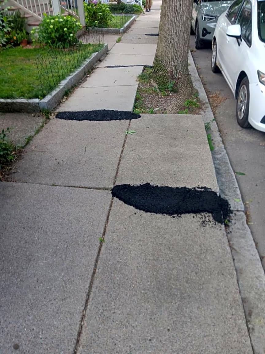 Image submitted with report