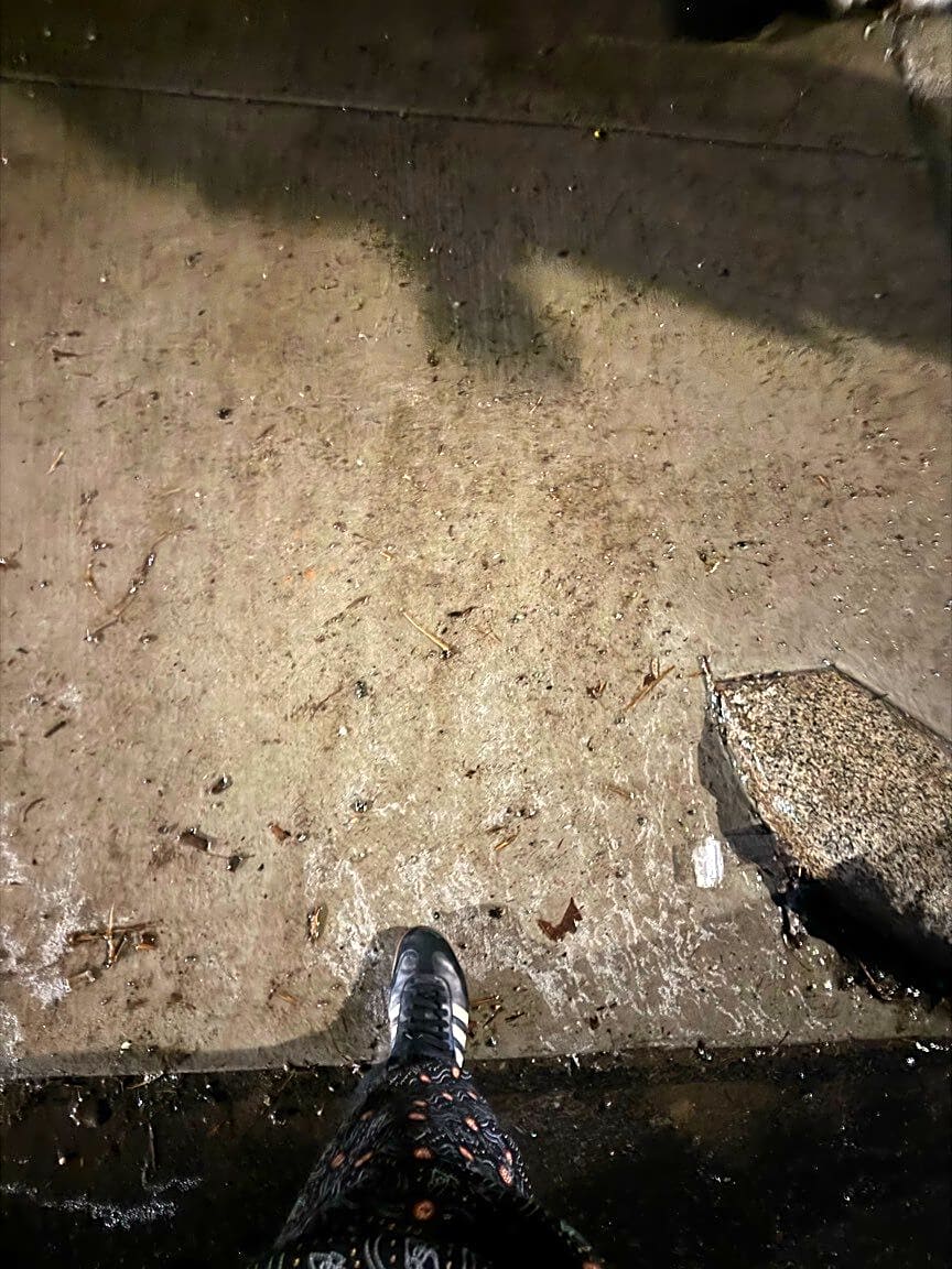 Image submitted with report