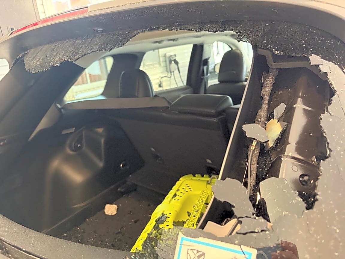 Image submitted with report