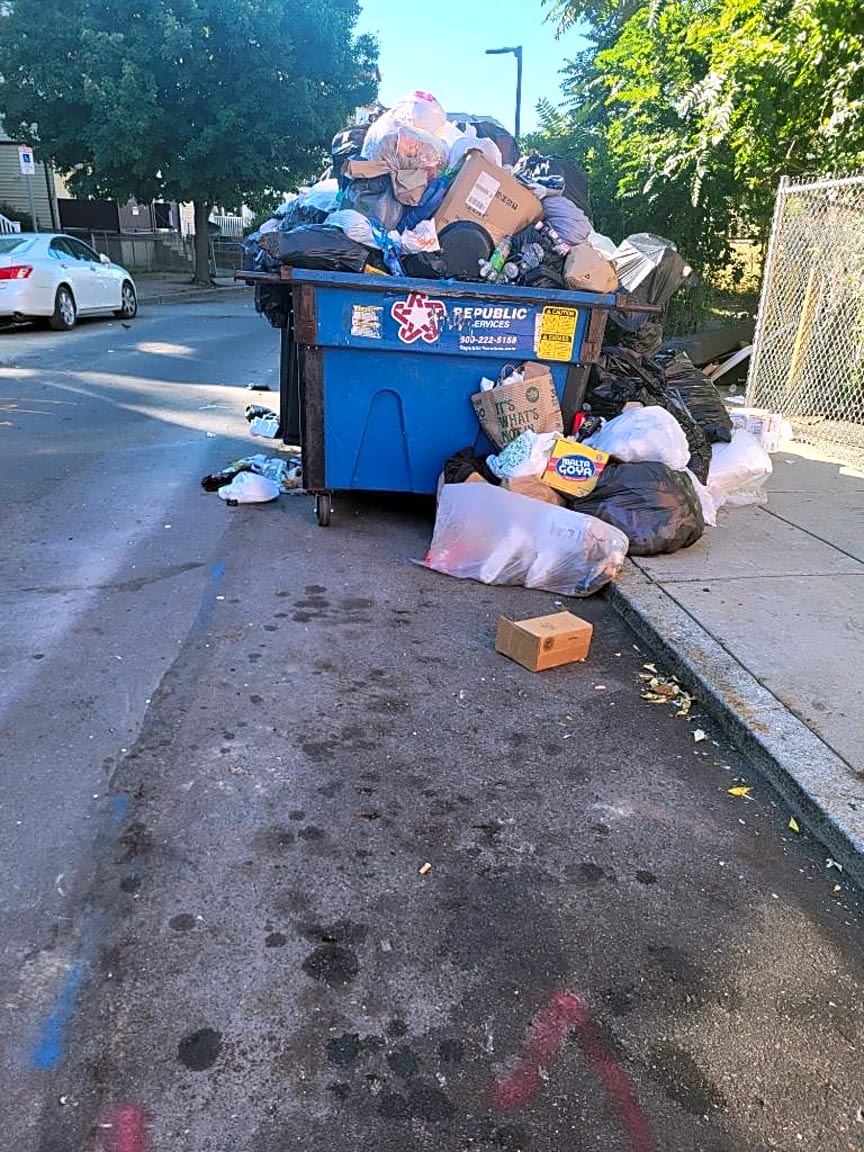 Image submitted with report