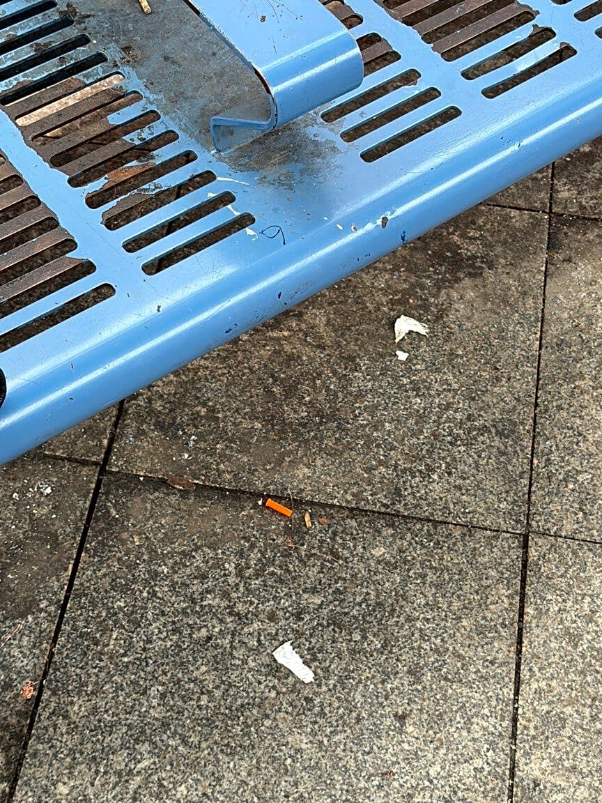 Image submitted with report