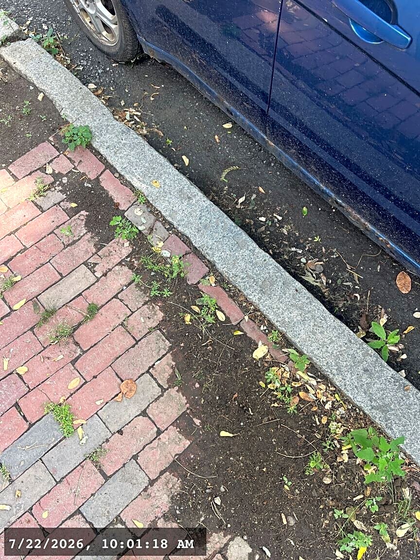 Image submitted with report