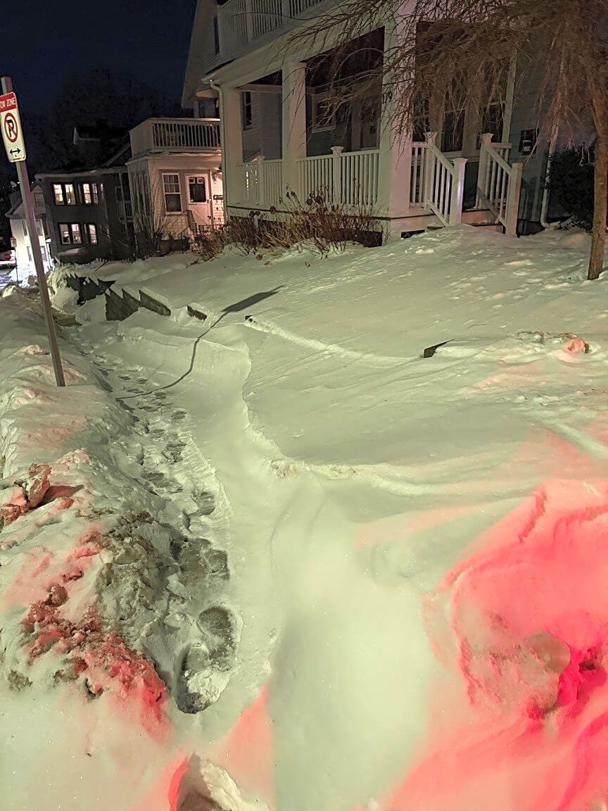 Image submitted with report