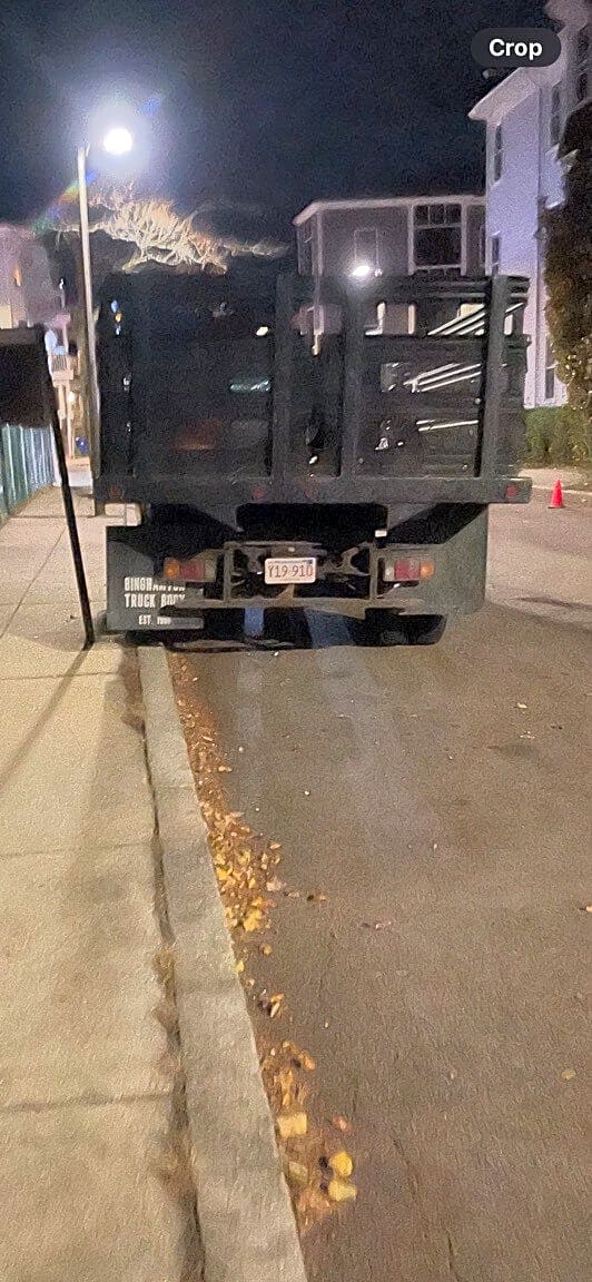 Image submitted with report