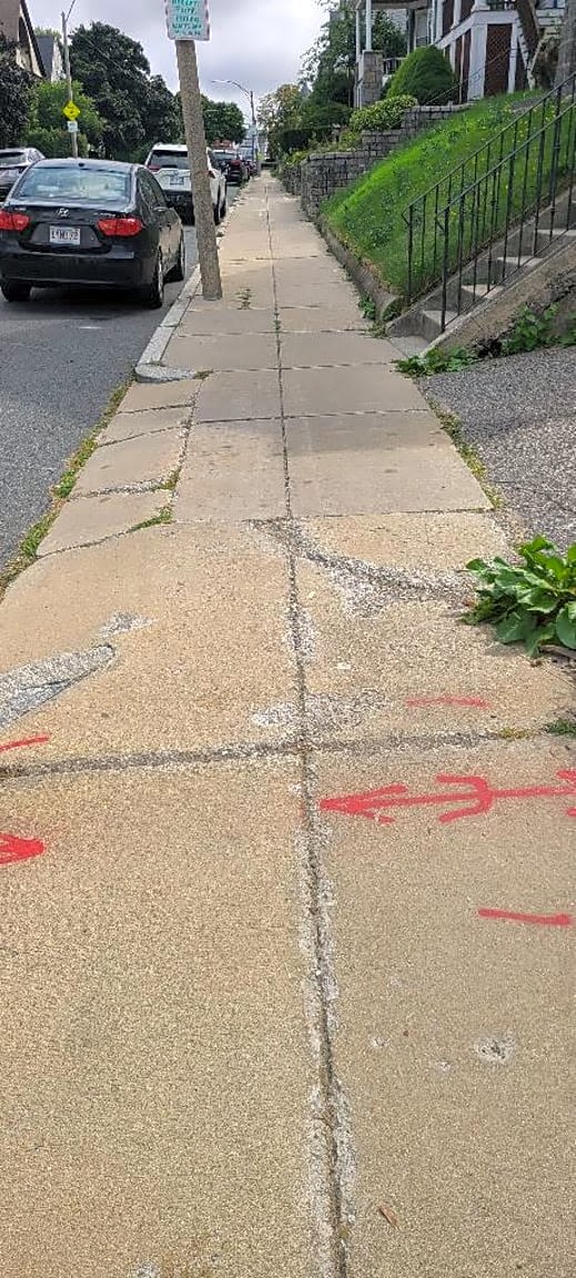 Image submitted with report