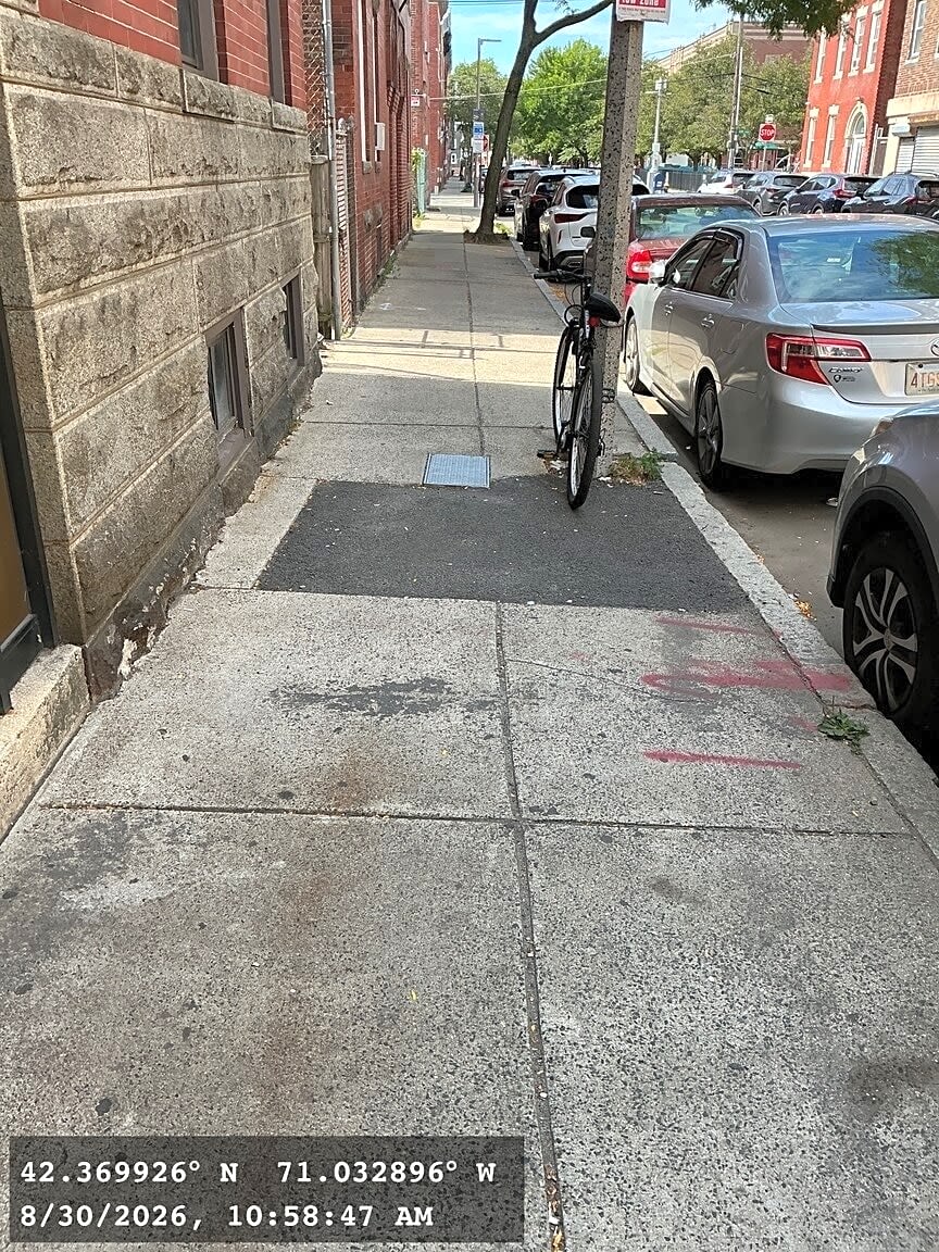 Image submitted with report