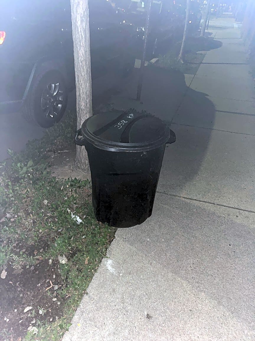 Image submitted with report